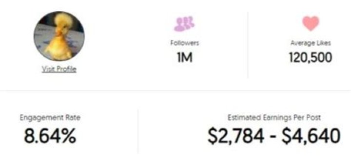 Angelo Zeigler Age | Wiki, Net worth, Bio, Height, Girlfriend |