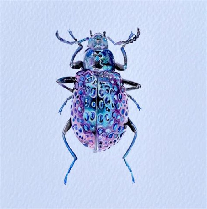 Cristina Villegas – Celebsgraphy