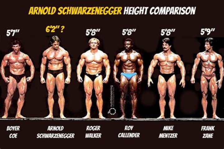 How tall is Arnold Schwarzenegger - Page 15
