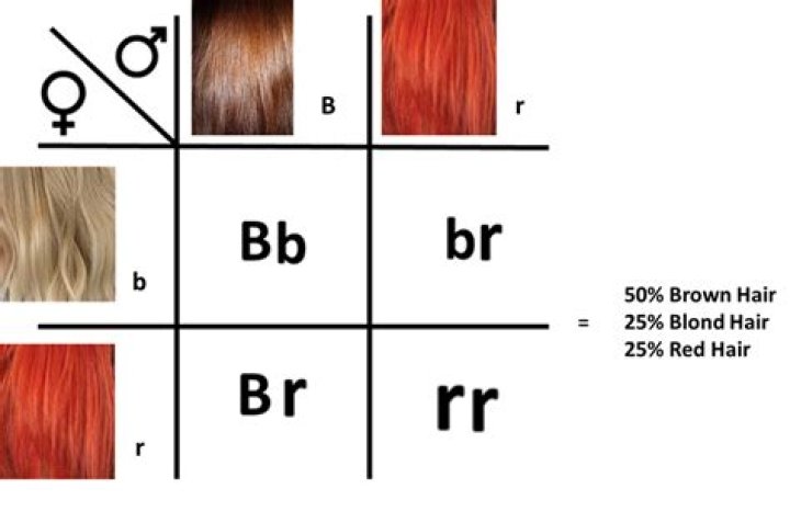 Is red hair a sign of inbreeding? (Celebrity Exclusive)