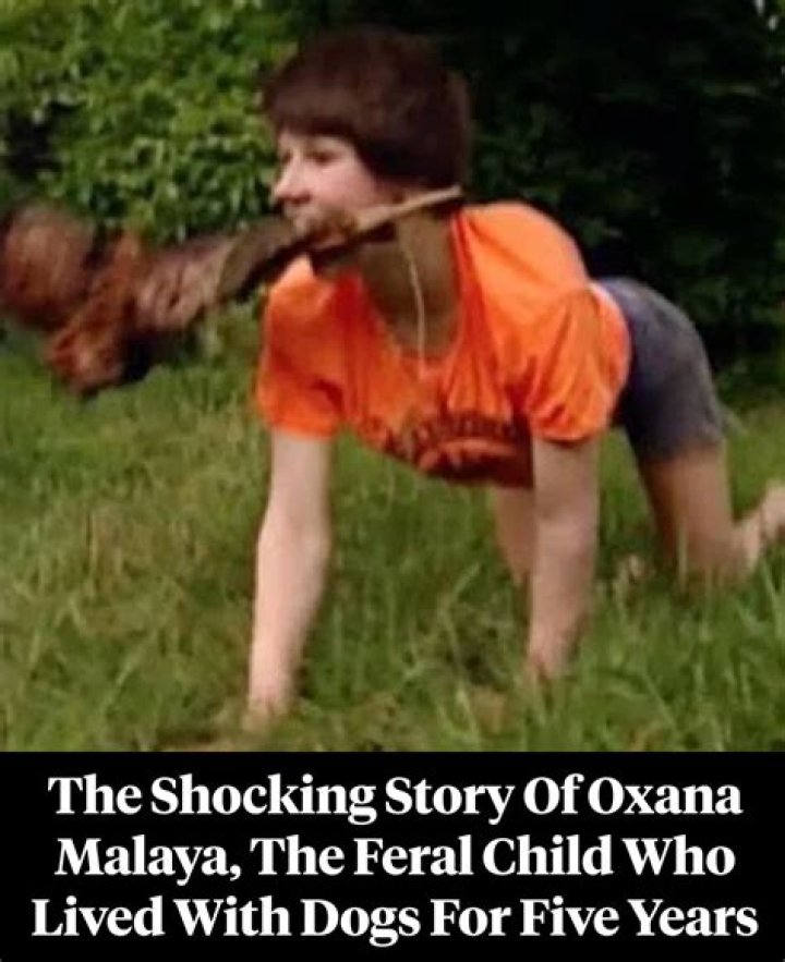 Oxana Malaya, The Feral Child Who Was ‘Raised By Dogs’