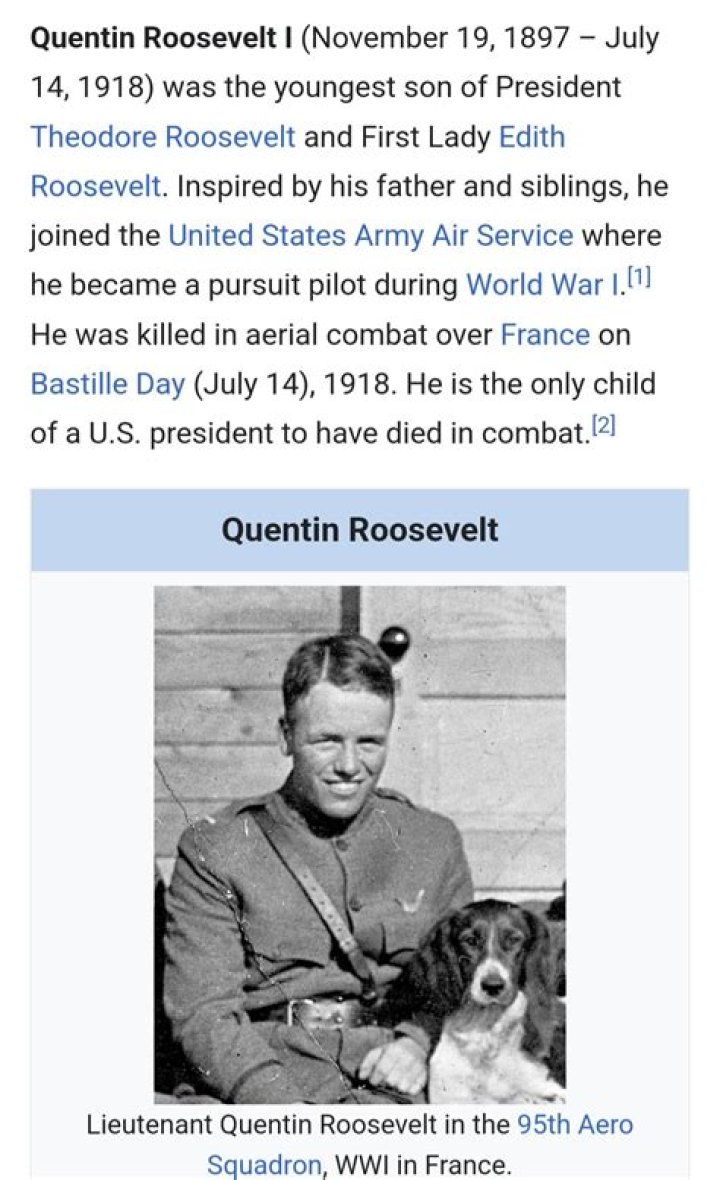 The Tragic Story Of Quentin Roosevelt, Teddy Roosevelt's Youngest Son