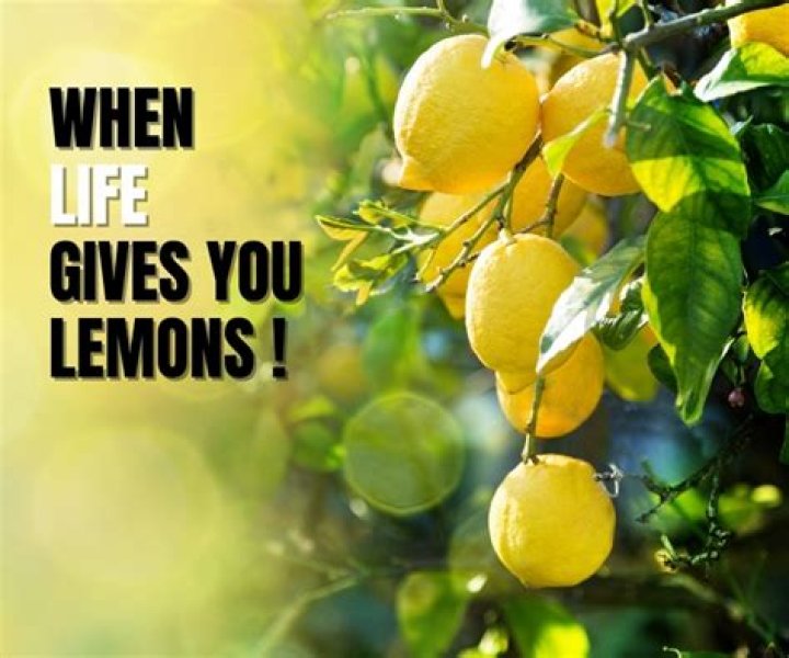 When Life Gives You Lemons... Party At The Lemon Festival